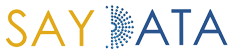 SAYDATA Solutions Pune