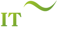 IT Skills Training Services