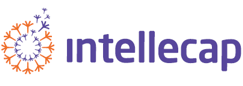 Intellectual Capital Advisory Services Pvt Ltd