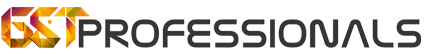 Gst professionals
