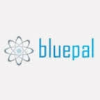 BluePal Solutions Pvt Ltd