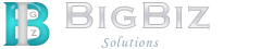 Big Biz Solutions