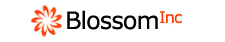 Blossom Tech Solutions (I) Pvt Ltd