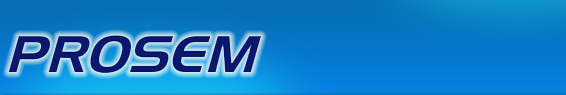 Prosem Technology India Pvt Ltd