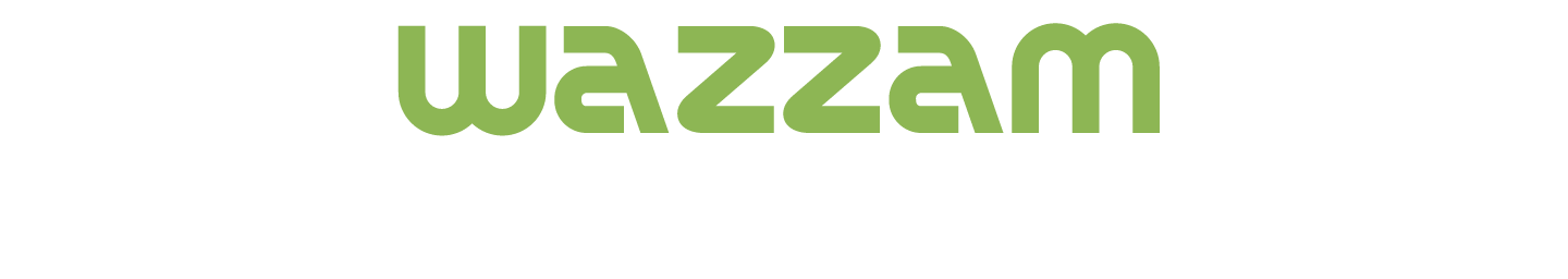 Wazzam Web Solutions India Pvt Ltd