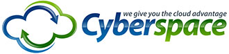 Cyberspace Networking Systems Pvt Ltd