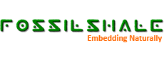 FossilShale Embedded Technologies
