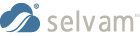 Selvam Website Services