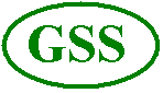 Gautami Software Services