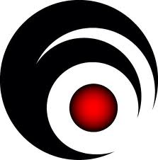 Vision Organization
