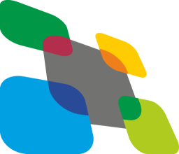 Cinch Data Solution