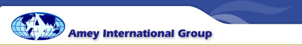 Amey Placement Services