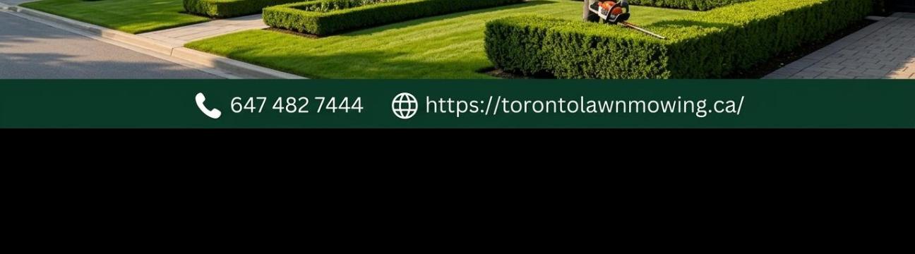Toronto Lawn