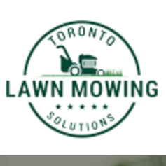 Toronto Lawn