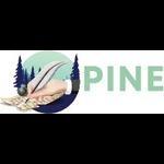 PineBook Writing