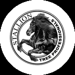 Stallion Tree