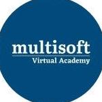 Multisoft Academy