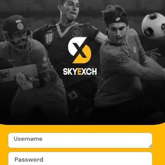 Sky Exchangee
